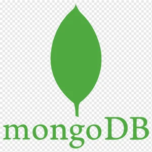 Technology support provides app developers in kerala - mongo db