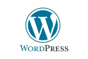 tools used by SEO expert company in Kottayam -wordpress